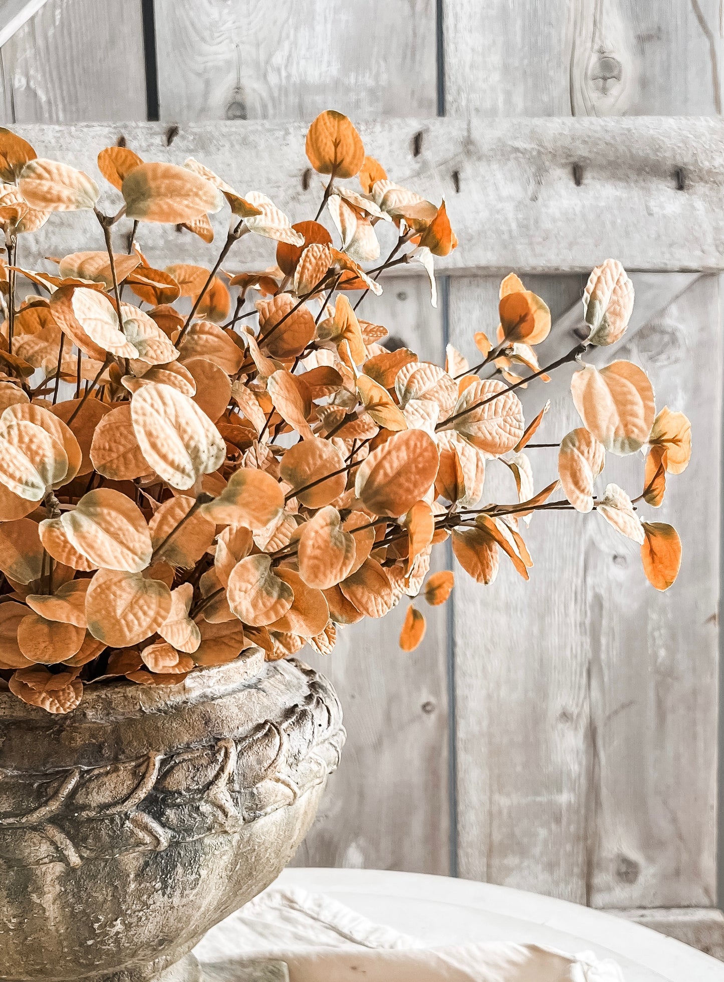 Ochre Eucalyptus Bush